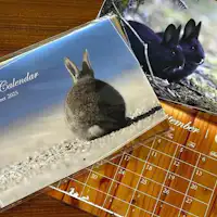 ปฏิทินแขวนผนังปี 2025