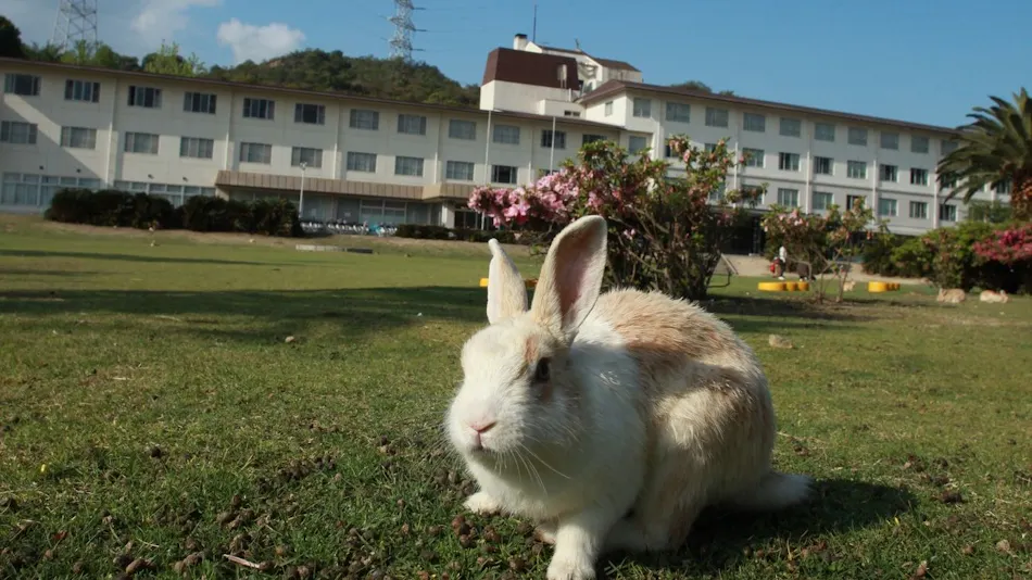 Kyukamura Okunoshima