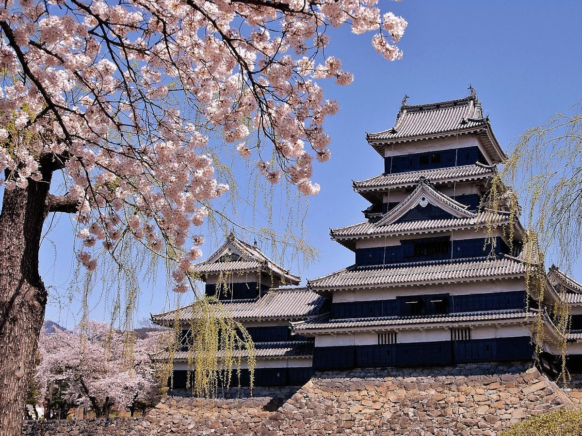 ปราสาทมัตสึโมโตะ (Matsumoto) (ฤดูใบไม้ผลิ)