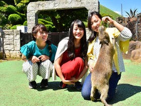 伊東園ホテル 別館