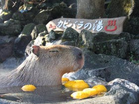 伊東園ホテル 別館