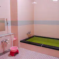 #《ห้องอาบน้ำหญิง》อ่างอาบน้ำที่กว้างเล็กน้อย