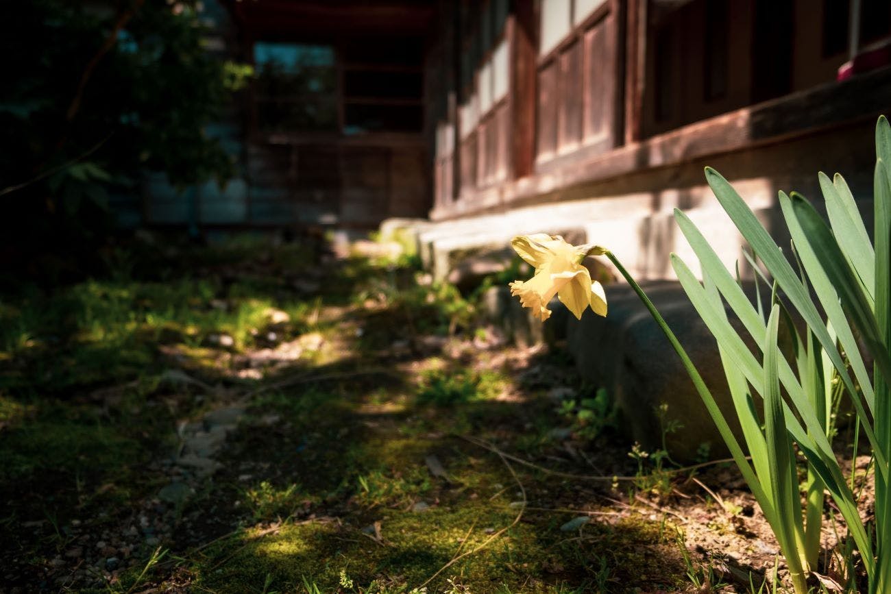 Honno Ryokan