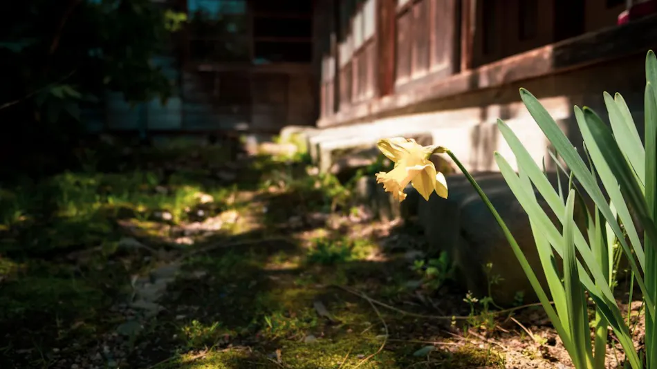 Honno Ryokan