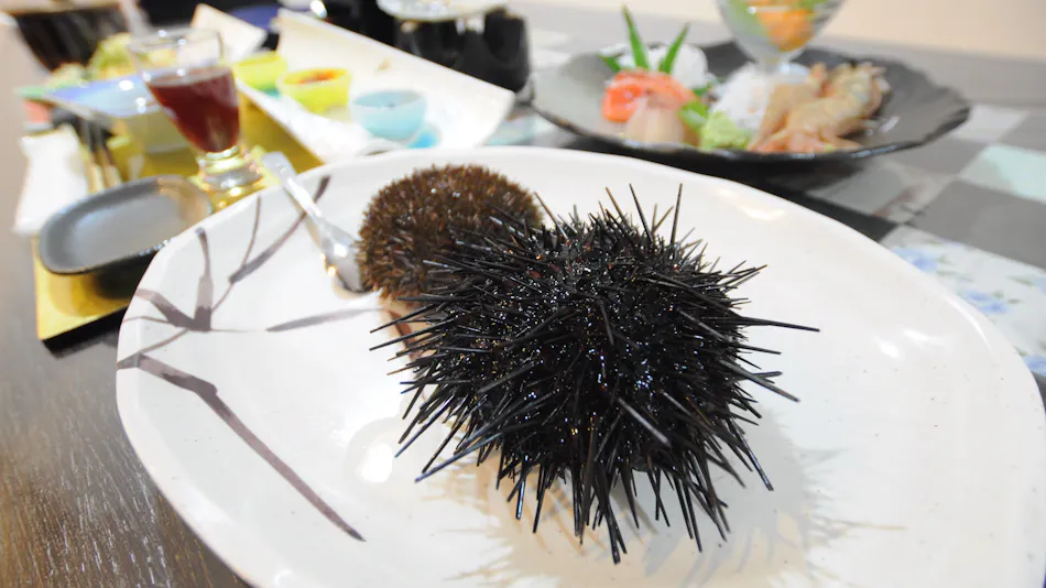 Hotel Uni Goten