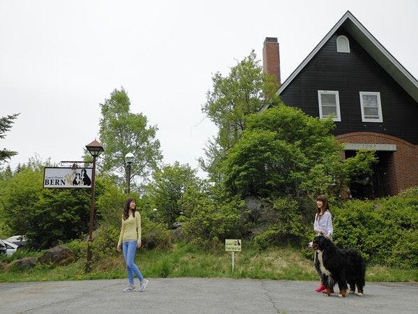 ภาพการเดินเล่นรอบๆ