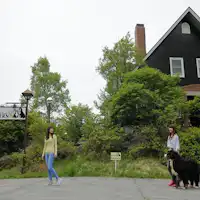 ภาพการเดินเล่นรอบๆ