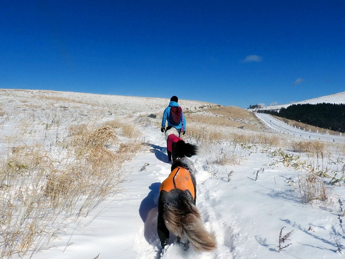 ไหล่เขาคุรุมะ (ฤดูหนาว)