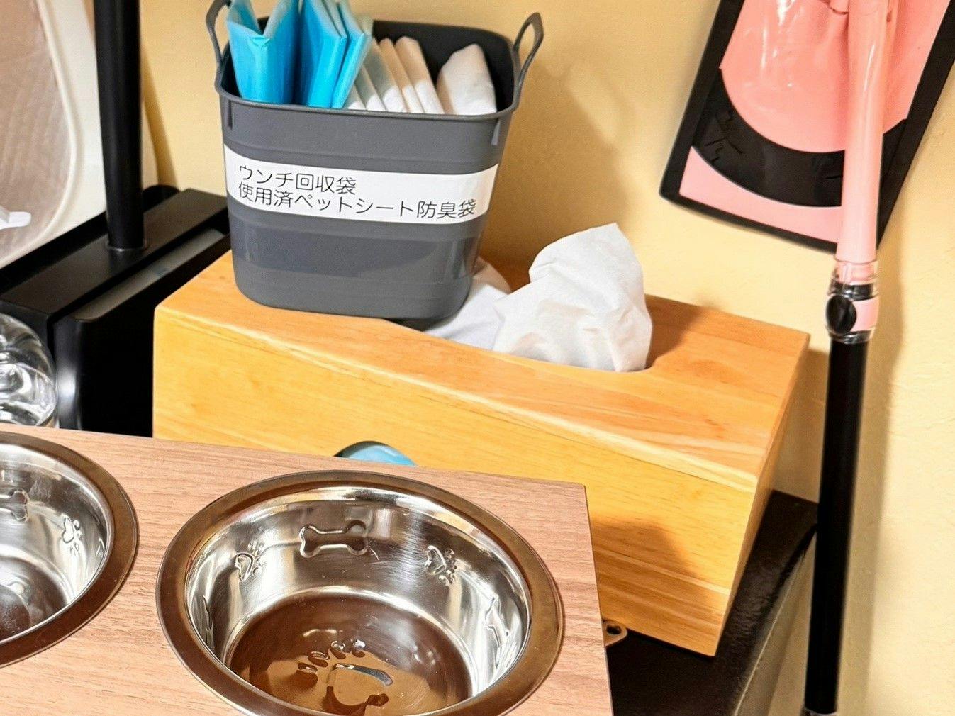 สิ่งอำนวยความสะดวกสำหรับสุนัข