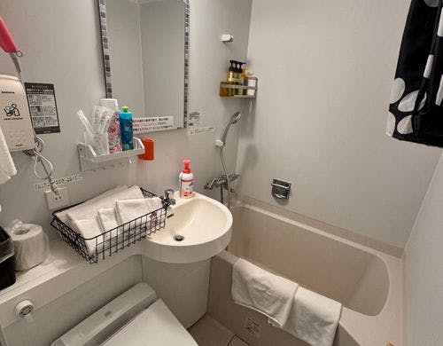 ペットシート（ワイド）5枚程度ついてます