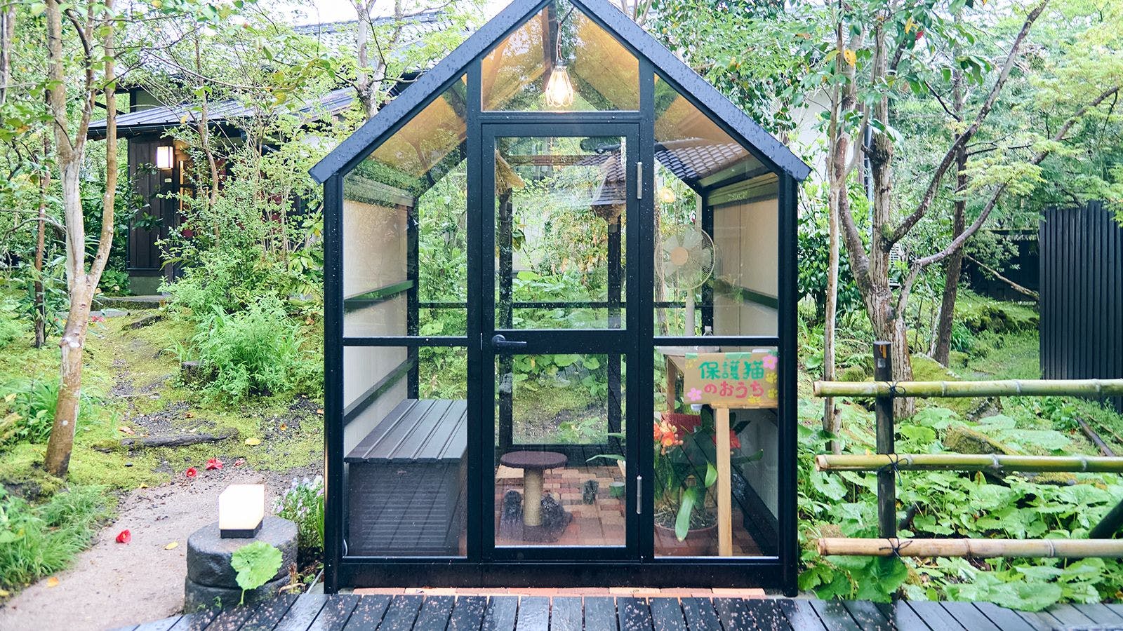 บ้านพักสำหรับแมวที่ได้รับการช่วยเหลือ