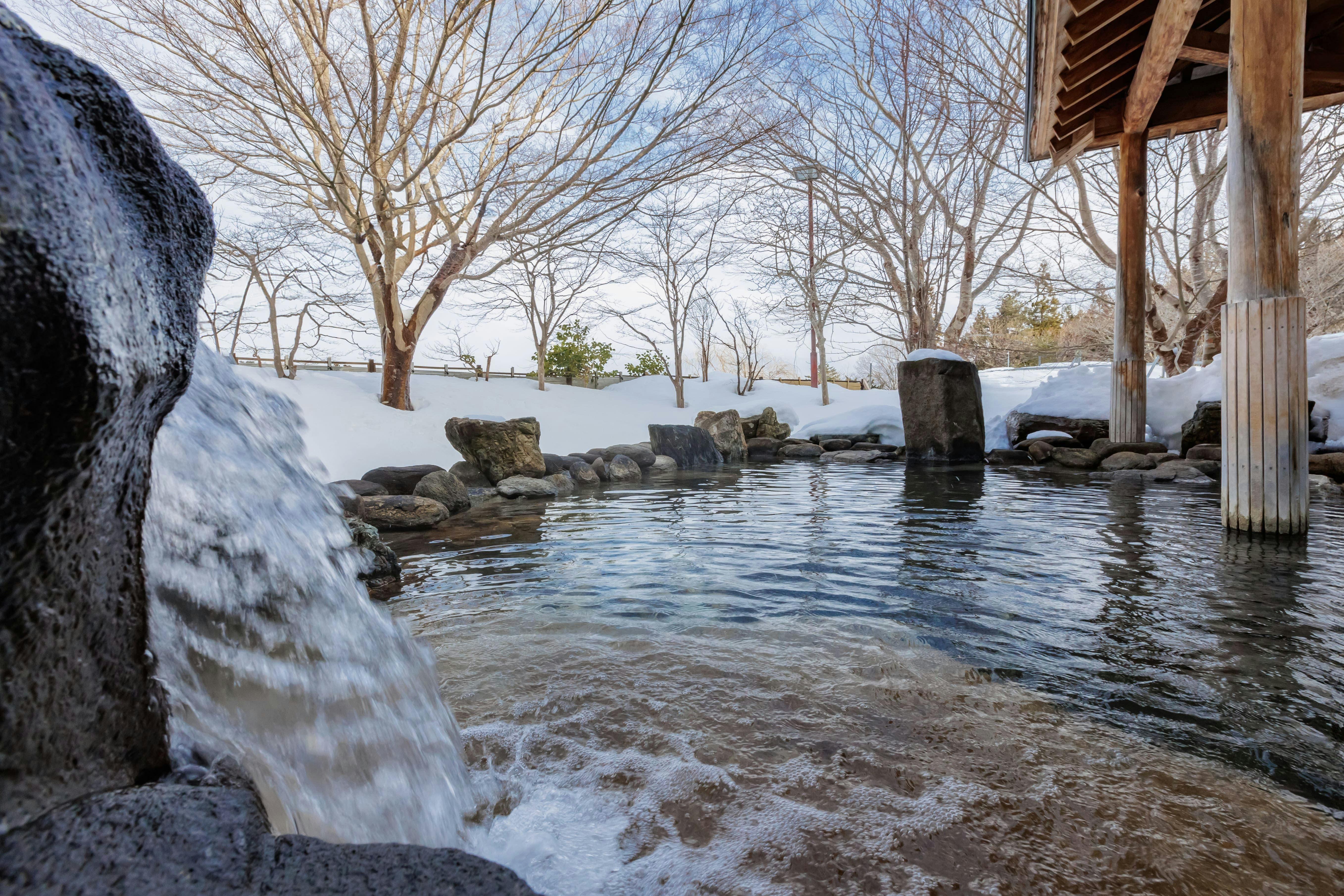 Kamenoi Hotel Aomori Makado