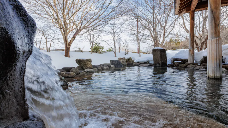 Kamenoi Hotel Aomori Makado