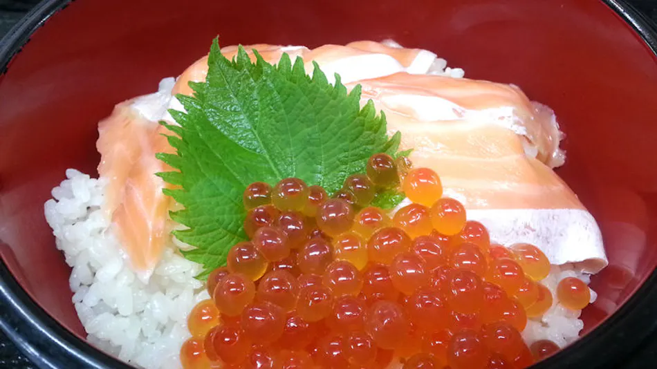 Katsuragi Onsen Happu no Yu "Yado Happu Bekkan"