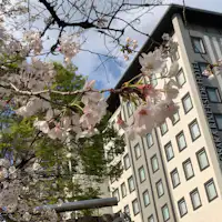 ภายนอก: ฤดูใบไม้ผลิ