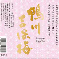 เหล้าบ๊วยท้องถิ่น 'คาโมกาวะ คิชิโฮเมะ'