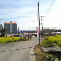 ทุ่งดอกเรปซีดที่วาดาอุระ