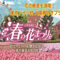 东京德国村 春季花卉节!!