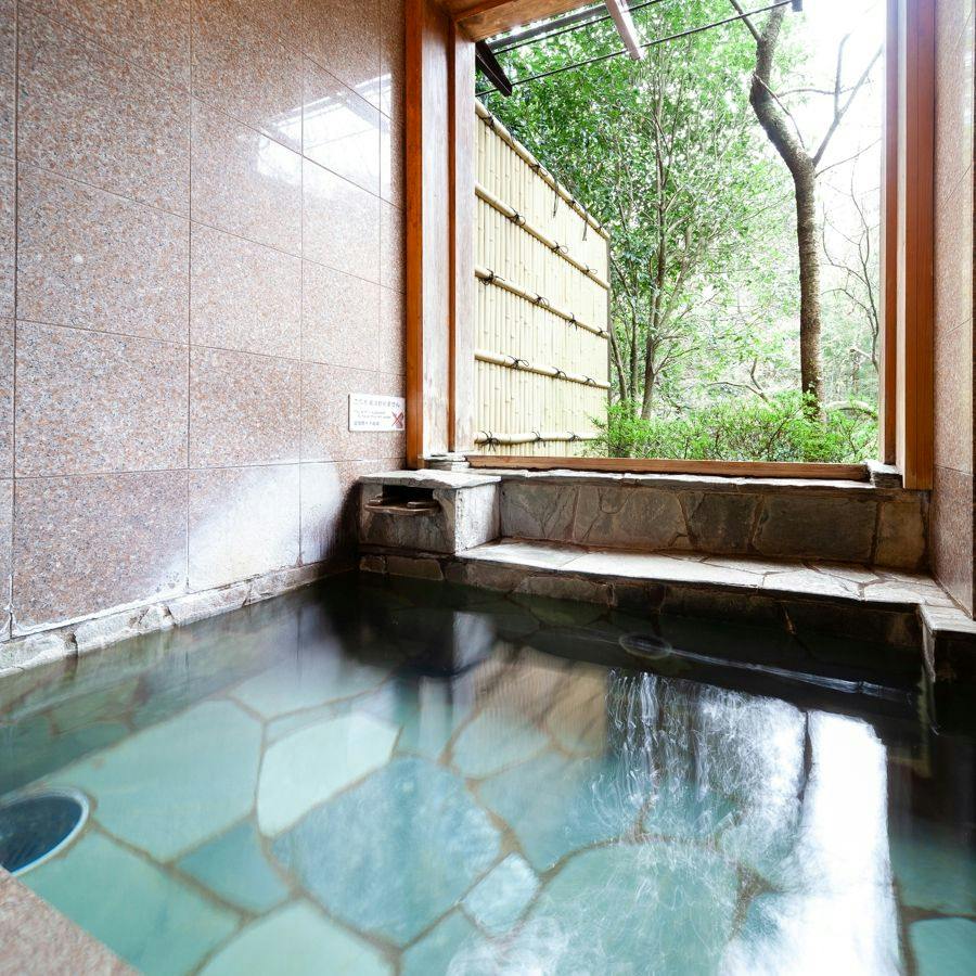 Hakone Gora Hotel Pipe no Kemuri Plus