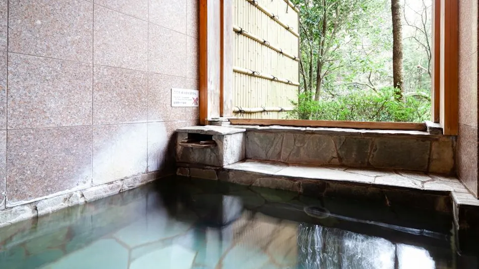 Hakone Gora Hotel Pipe no Kemuri Plus