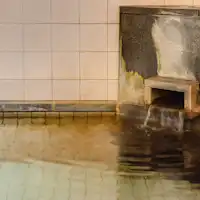 *Pemandian umum besar (wanita) / Bersantai dengan Mata air panas alami