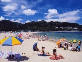 温泉民宿　小阪屋　元館