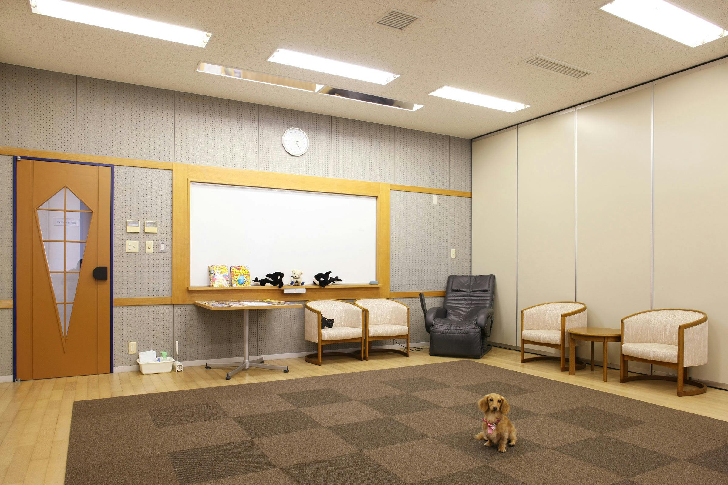 Pet-Friendly Accommodation Doki DoggieTateyama DIANA