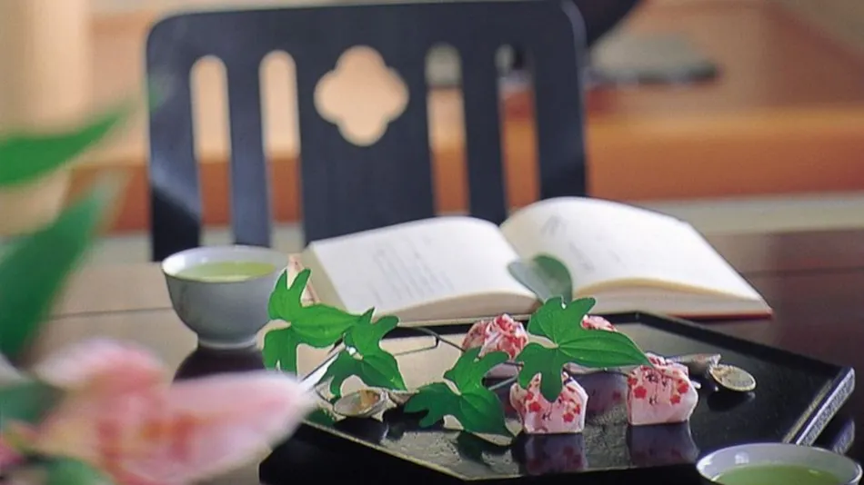 Kazumi: A Traditional Japanese Cuisine and Hot Spring Inn