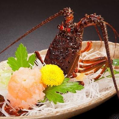 Kazumi: A Traditional Japanese Cuisine and Hot Spring Inn