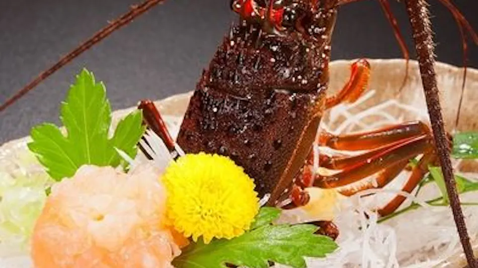 Kazumi: A Traditional Japanese Cuisine and Hot Spring Inn