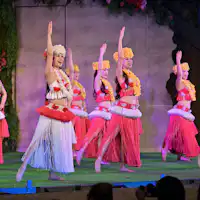 แผนที่พักพร้อมพาสปอร์ตฮาวายเอียนส์ 2 วัน