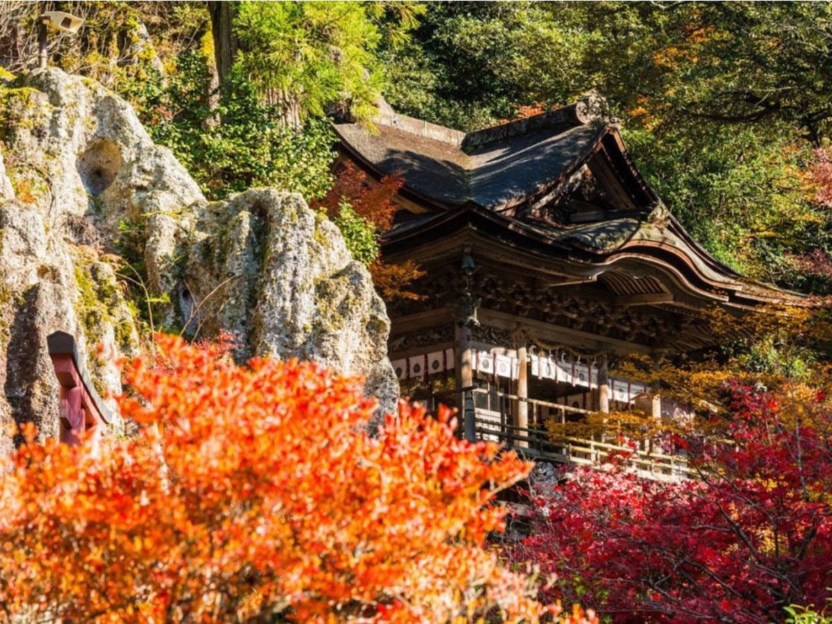 วัดนาทานิในฤดูใบไม้ร่วง