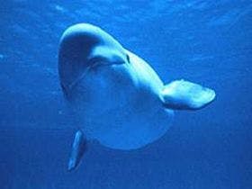 浜田ニューキャッスルホテル