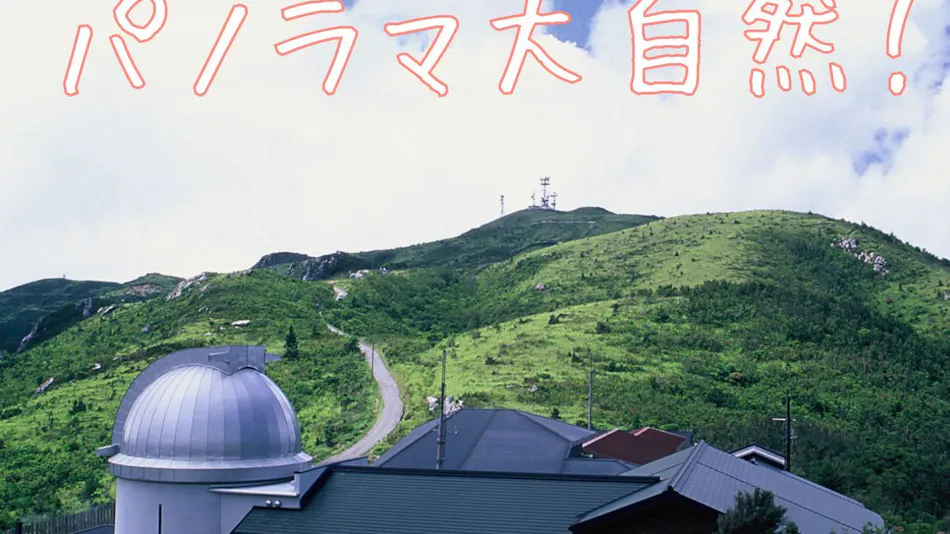 Sansou Kajigamori