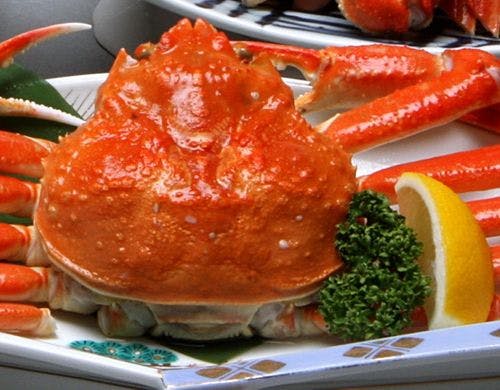 ずわい蟹