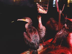 小京都の湯　みくまホテル