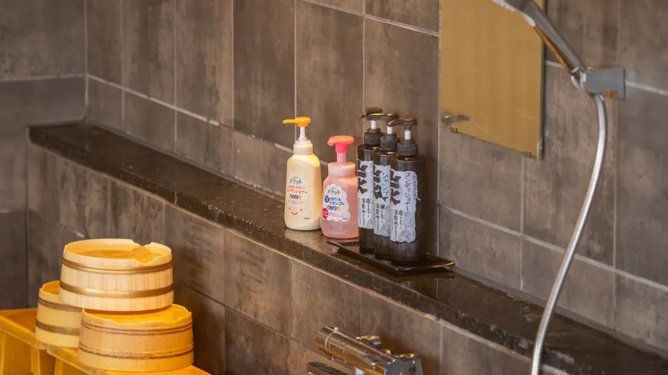 Mikuma Hotel, Little Kyoto Hot Springs