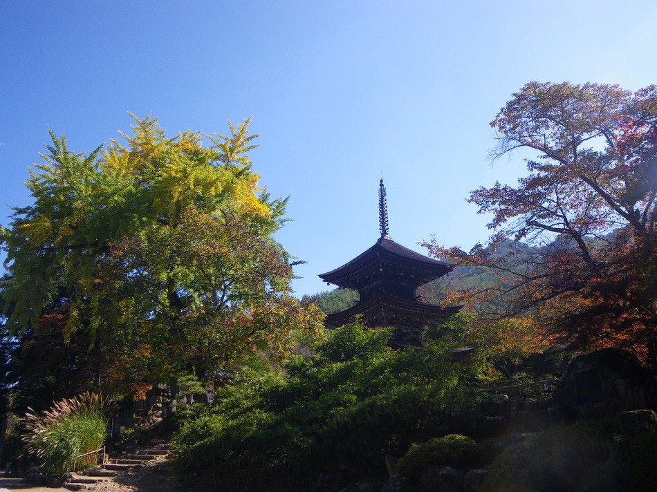 ใบไม้เปลี่ยนสีที่วัดมาเอะยามะ