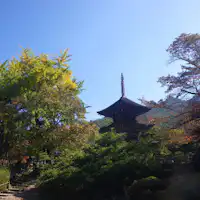 ใบไม้เปลี่ยนสีที่วัดมาเอะยามะ