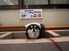 赤湯温泉　丹泉ホテル