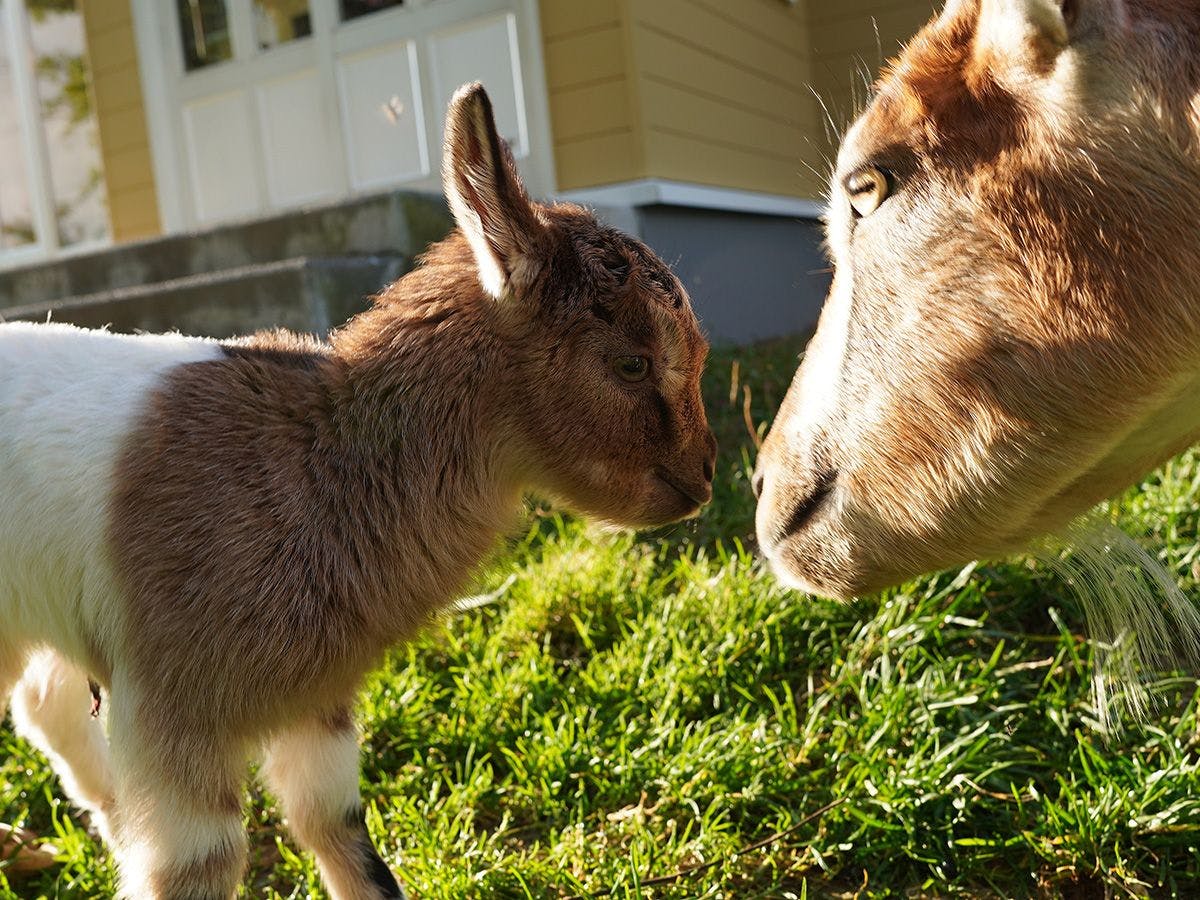 Kiyosato Ihatov Hostel