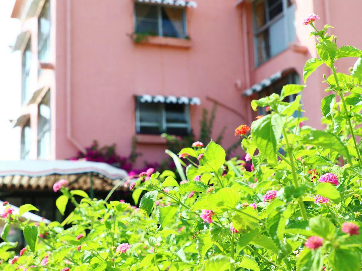 Asian Garden Villa Shirahama (Formerly: Shirahama Club)