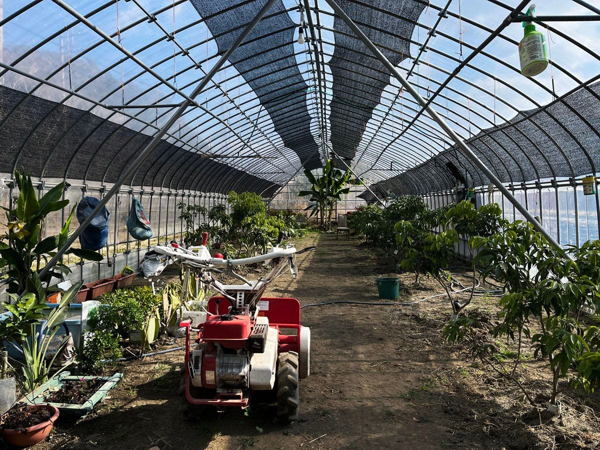 โรงเรือนพลาสติก