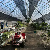 โรงเรือนพลาสติก