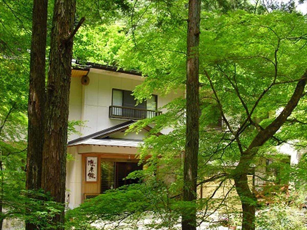 สีเขียวสด