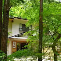 สีเขียวสด