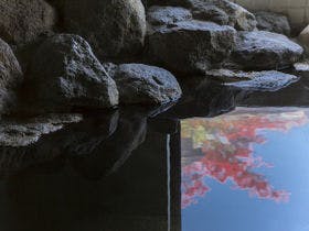 ペンション 木綿恋記