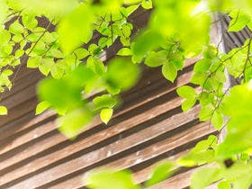 ペンション 木綿恋記