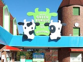 伊香保温泉 旅館 よろこびの宿しん喜