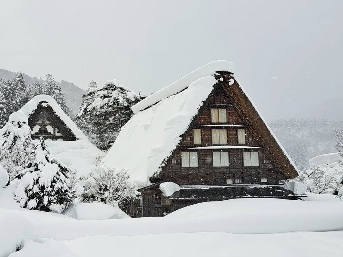 *ชิราคาวาโกะ (Shirakawago) (2025 ปี・ฤดูหนาว)